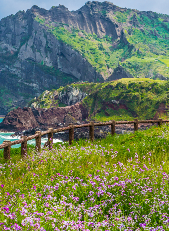 Jeju