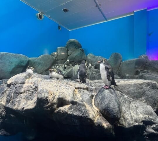 Underwater World Langkawi