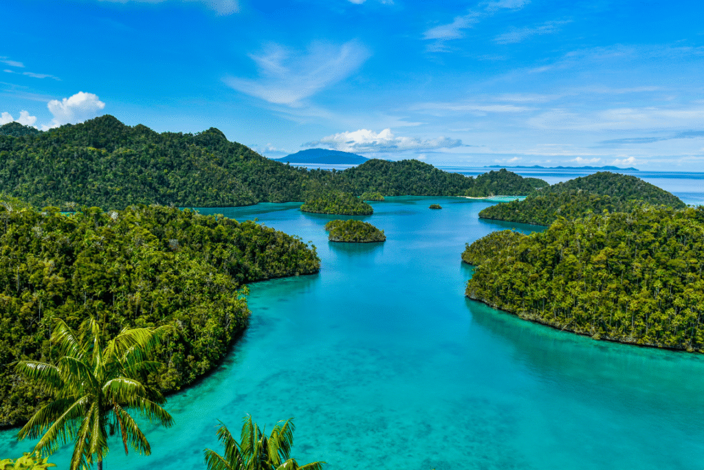 Raja Ampat : À la Découverte du Trésor Naturel de l’Indonésie
