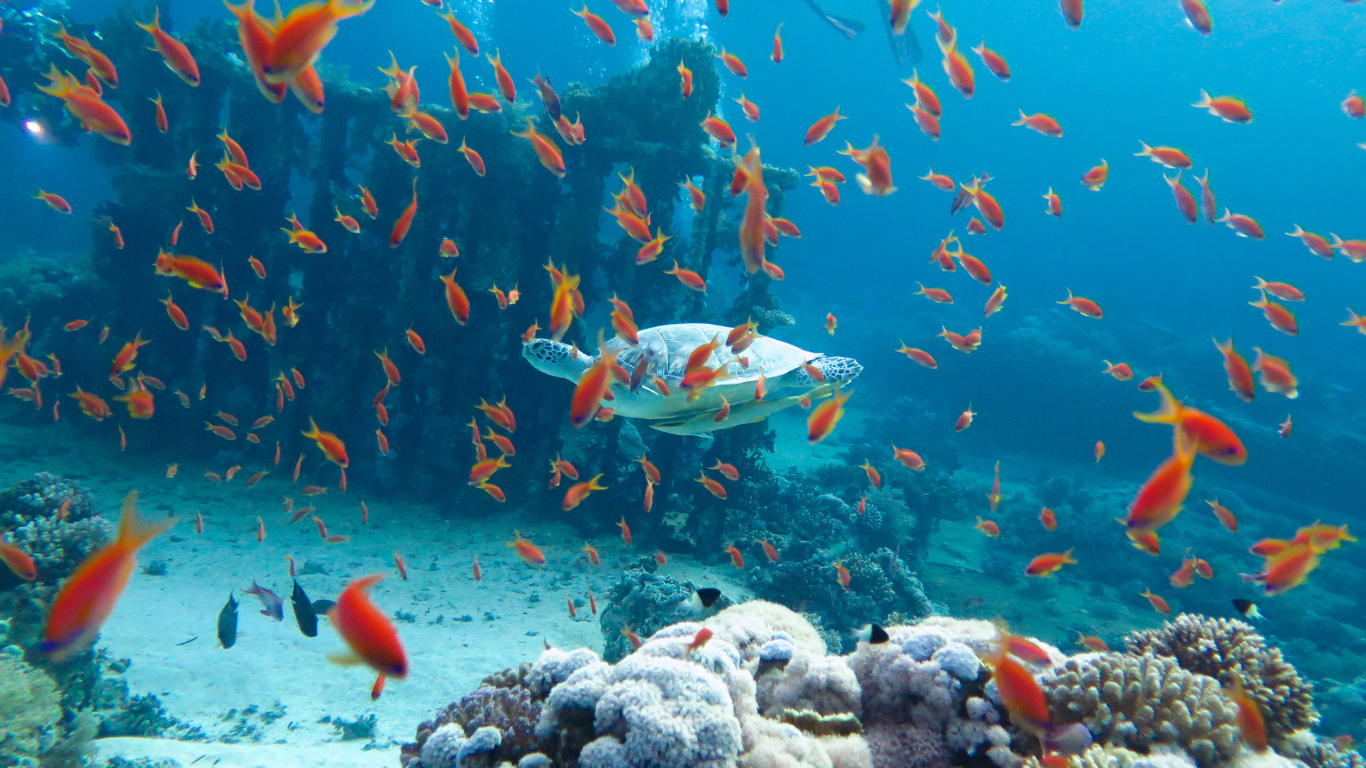  Hurghada : 5 jours entre mer, désert et spiritualité