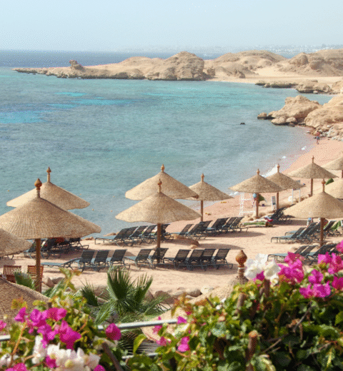 Coral Sea Waterworld Sharm El Sheikh