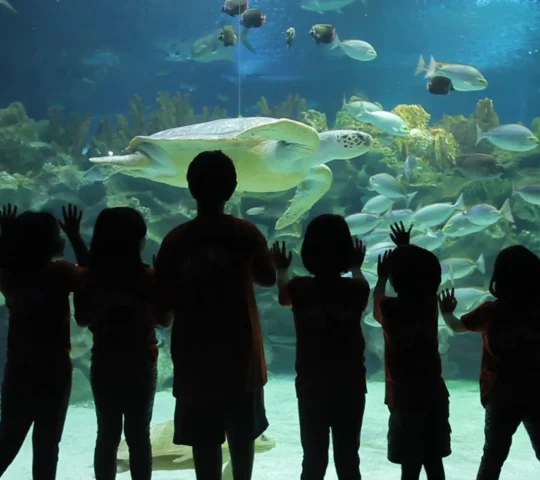 Kuala Lumpur : billet d’entrée à Aquaria KLCC